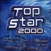 Top Star 2000 - V/A
